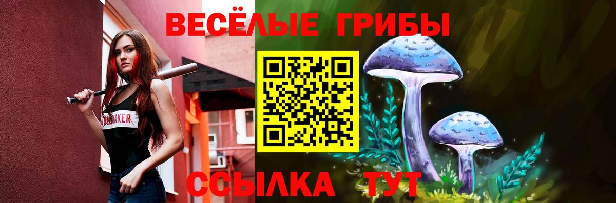 Тында  продажа наркотиков  Вход с VPN  Псилоцибиновые грибы Magic Shrooms 