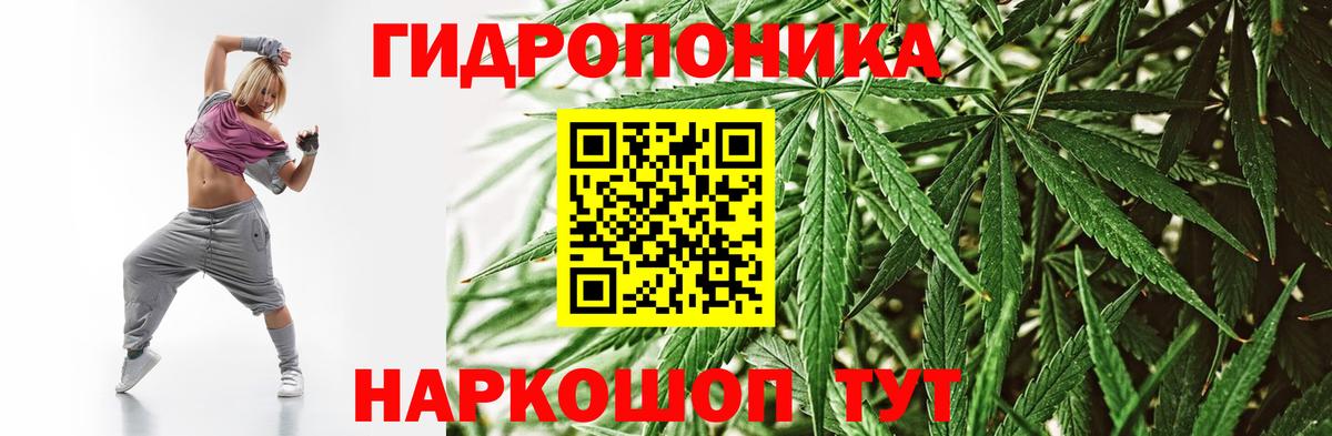 МАРИХУАНА планчик Тында